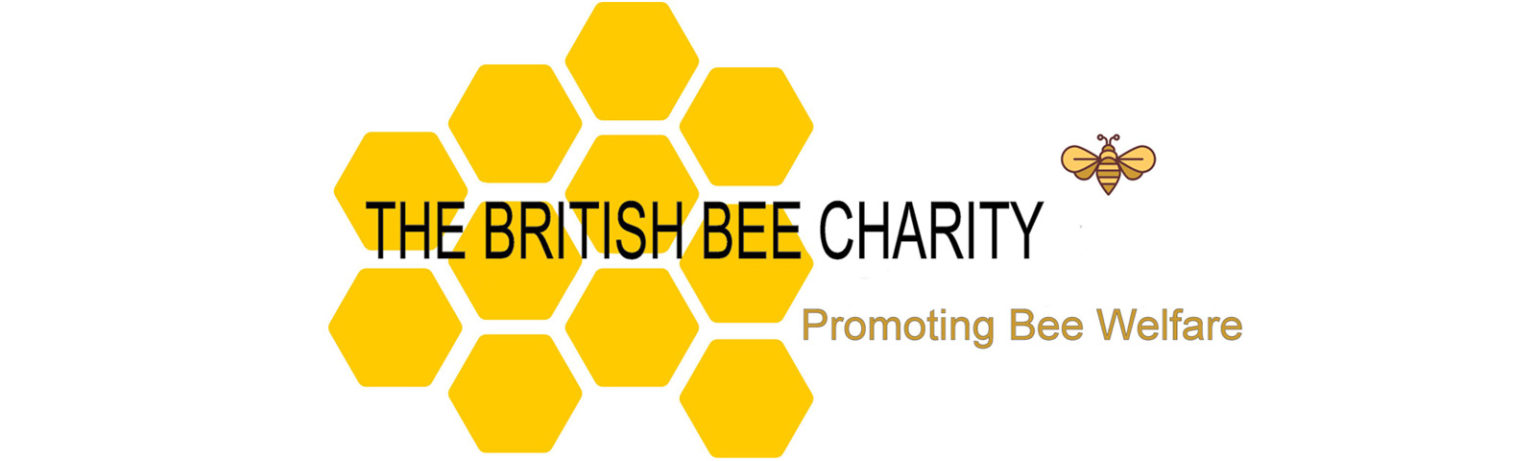 The British Bee Charity | Natta