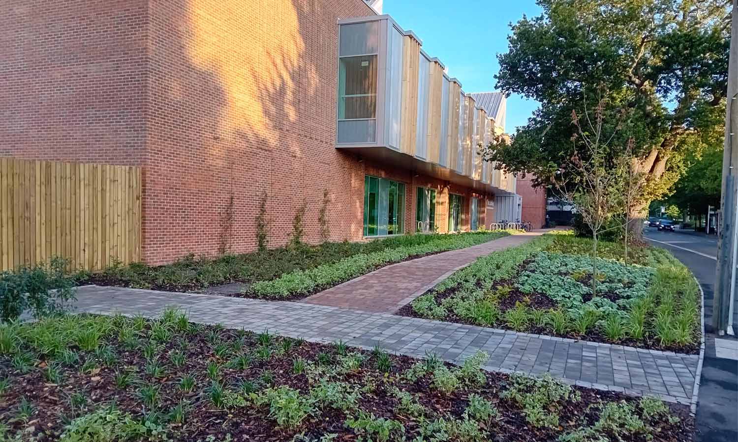 University of Southampton Jubilee Sports Centre landscaping