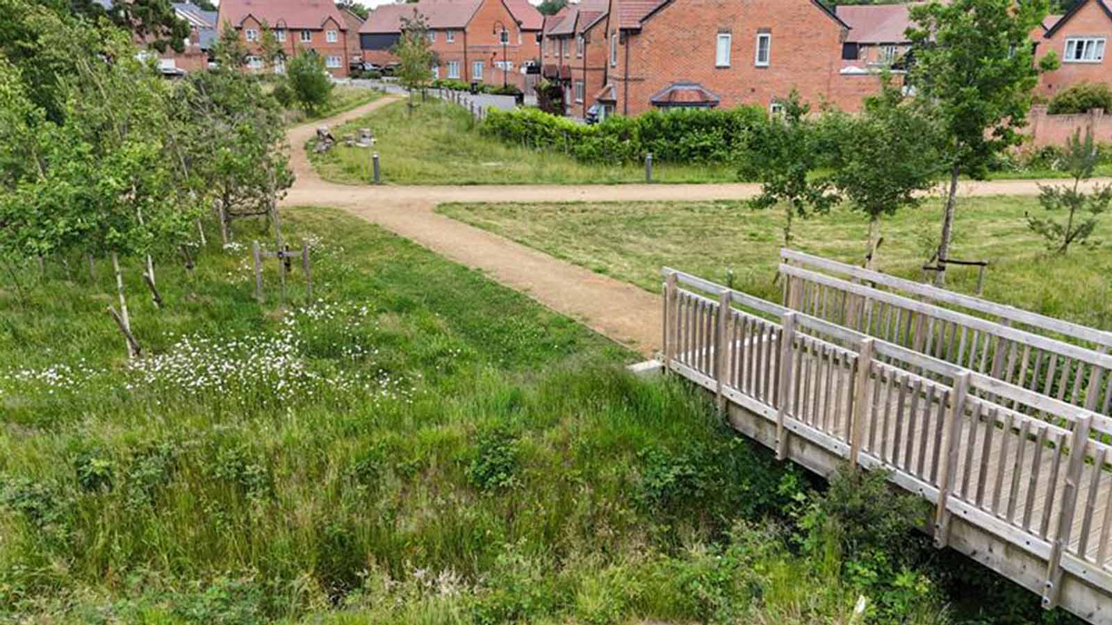 Deepcut Greenswathe - public open space | Natta Deepcut Greenswathe - public open space