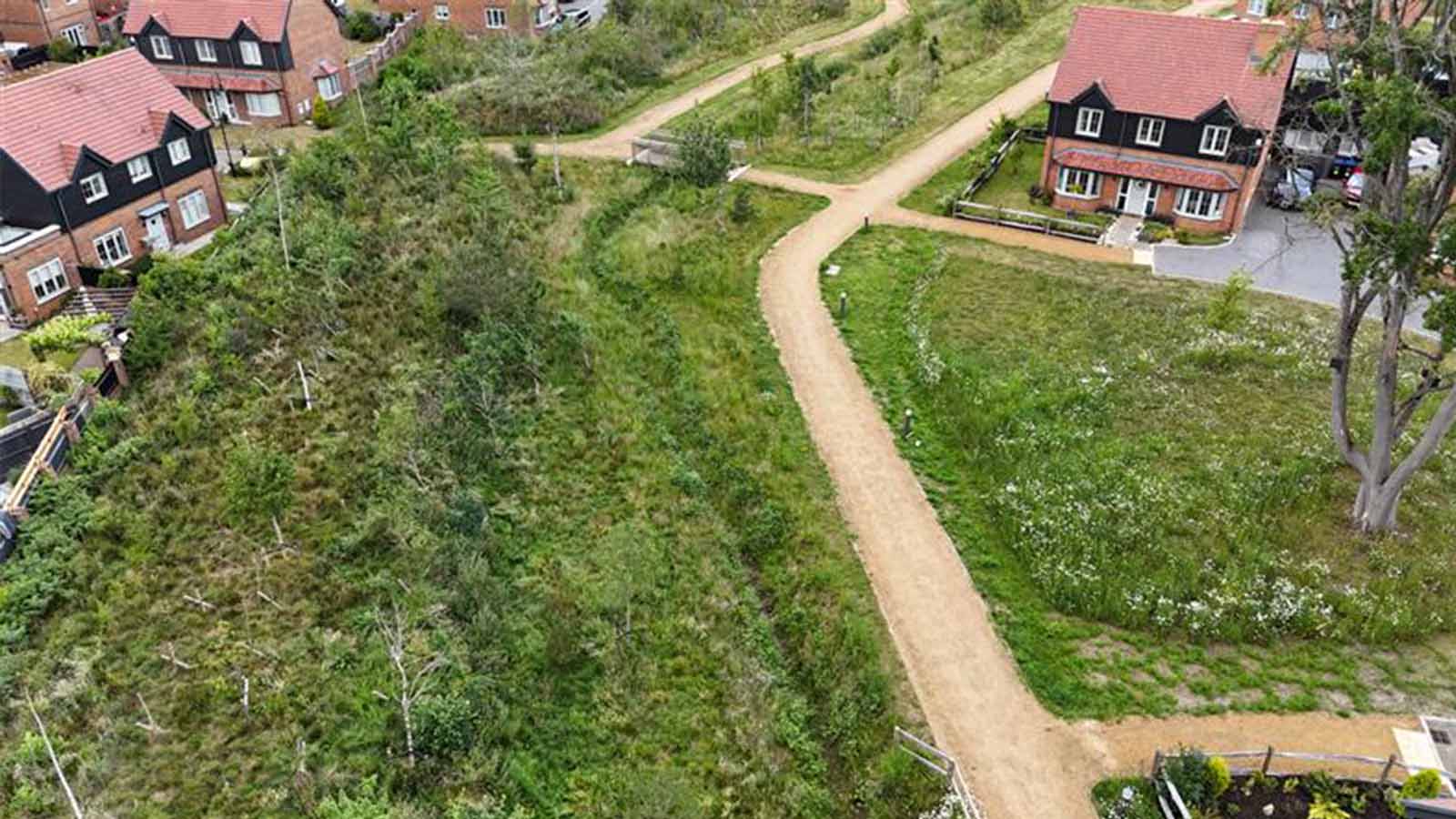 Deepcut Greenswathe - public open space | Natta Deepcut Greenswathe - public open space