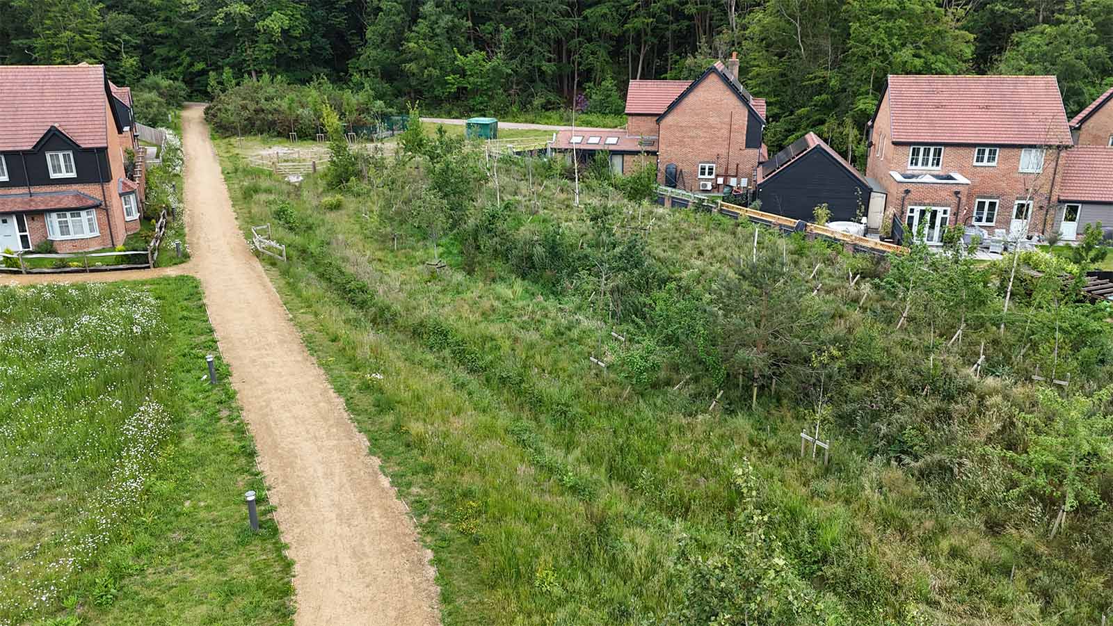 Deepcut Greenswathe - public open space | Natta Deepcut Greenswathe - public open space