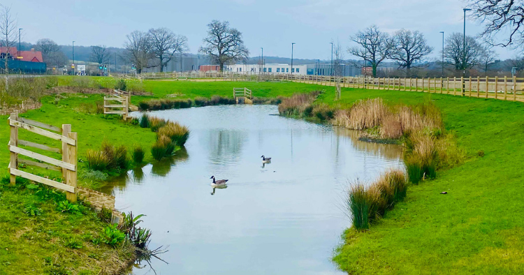 East West Greenspace Horsham Feature Image